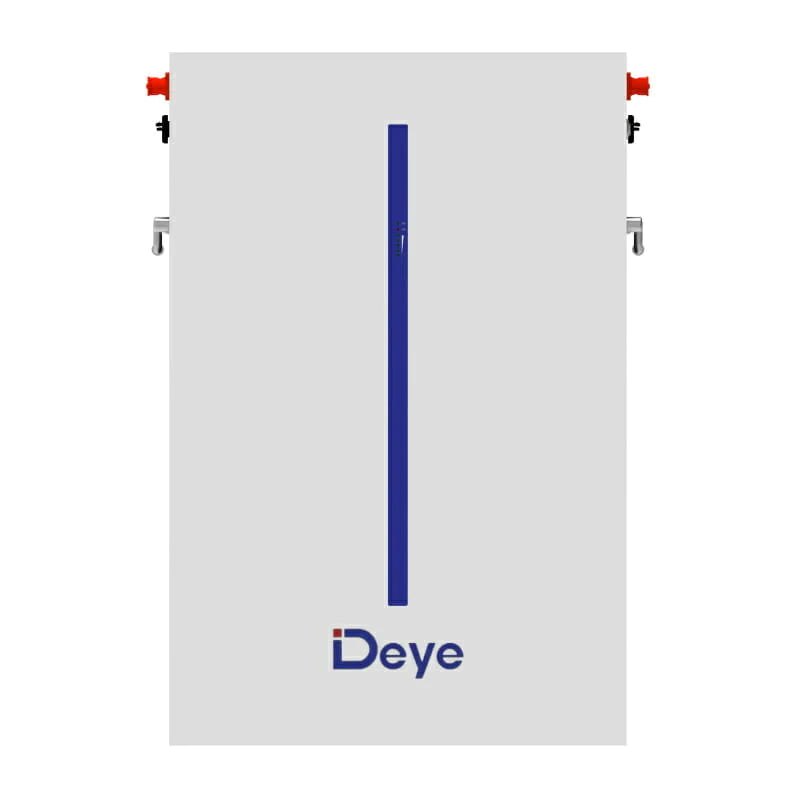 Deye LV BATTERY RW-M6.1 PACK 51.2V 6.14KWH - front