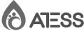 ATESS brand logo